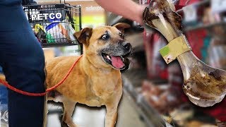 Buying a Homeless Dog EVERYTHING He Touches!