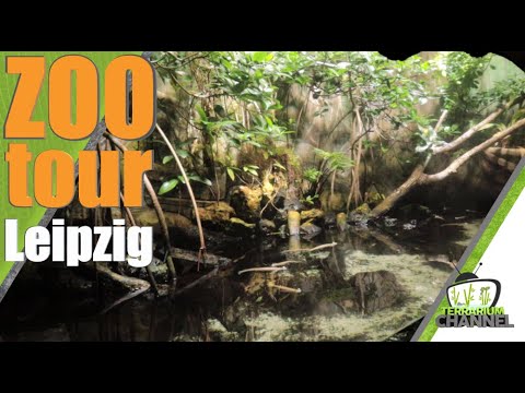 Zoo TOUR, Leipzig Zoo @terrariumchannel