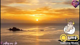 Cosmic Euphony Live - Soothing Seas Lofi Music - CA- Mindful Relaxation - Peaceful Deep Sleep ~11 hr