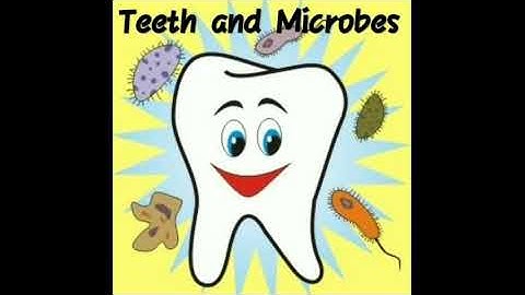 Science class 4 chap 5 TEETH AND MICROBES part 1