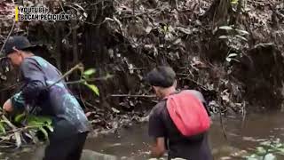 Berburu ikan Gabus bocah pecicilan 