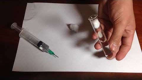 Ant Keeping Tutorial #1 test tube setup