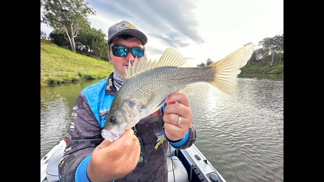 Brisbane River Bass fishing the upper reaches using Spinnerbaits. - YouTube