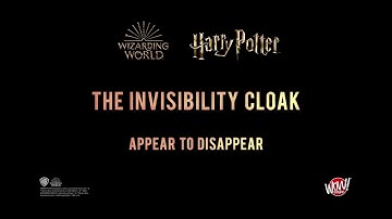 Harry Potter Invisibility Cloak - Appear to Disappear | Wow! Stuff