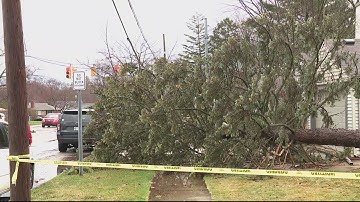 Thunderstorms cause damage, power outages around Southeast Michigan