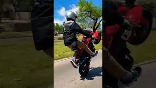 honda grom wheelies