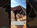 Roof Sheathing Installation – Cutting and Installing OSB Panels on Wooden Roof Frame