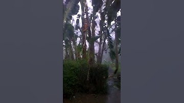 Video Angin Puting Beliung Melanda Salatiga 8 Des 2016