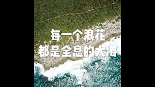 201811 每一个浪花都是全息的大海24044