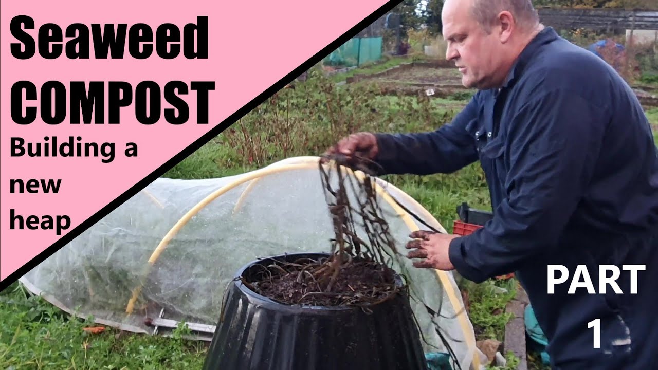 Seaweed Compost how to make this wonderful, fertile resource. YouTube