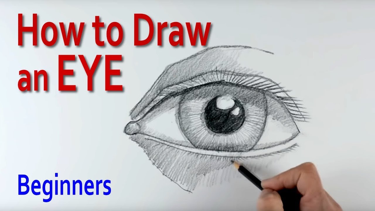 Human Eye Diagram How To Draw Images - How To Guide And 