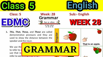 EDMC Class 5 English Week 28 Worksheet 28 | 5 Class English Grammar | 5th Class English Worksheet 28