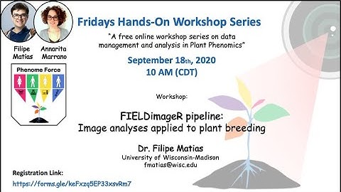Fridays Hands-On Workshop Series - "FIELDimageR pipeline: Image analyses applied to plant breeding"