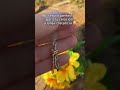 Collar Abrazo: Regalo Para Relación a Larga Distancia