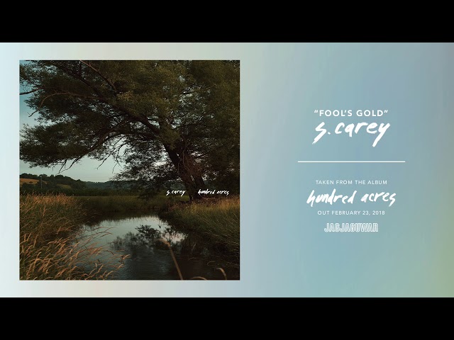 S. CAREY - Fool's Gold