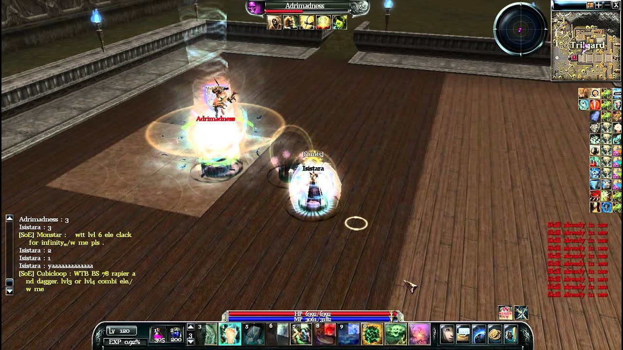 Elementalist vs Hunter Archlord PVP Lv 120