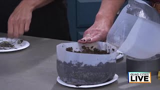 U of Illinois Extension: How to sow seeds during winter