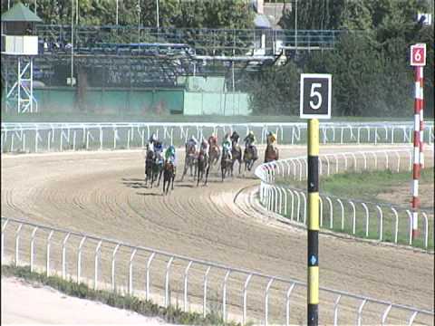 Vidéo de la course PMU PREMIO OSVALDO URBINA S. HANDICAP