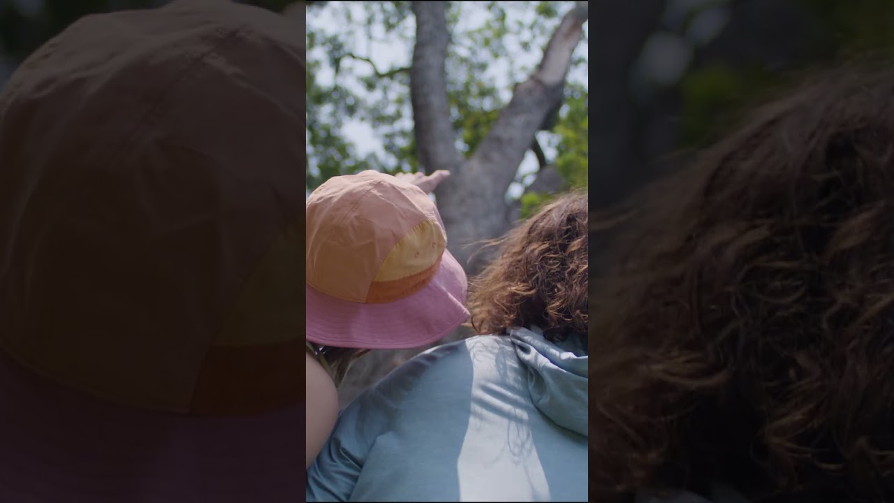 Preview of