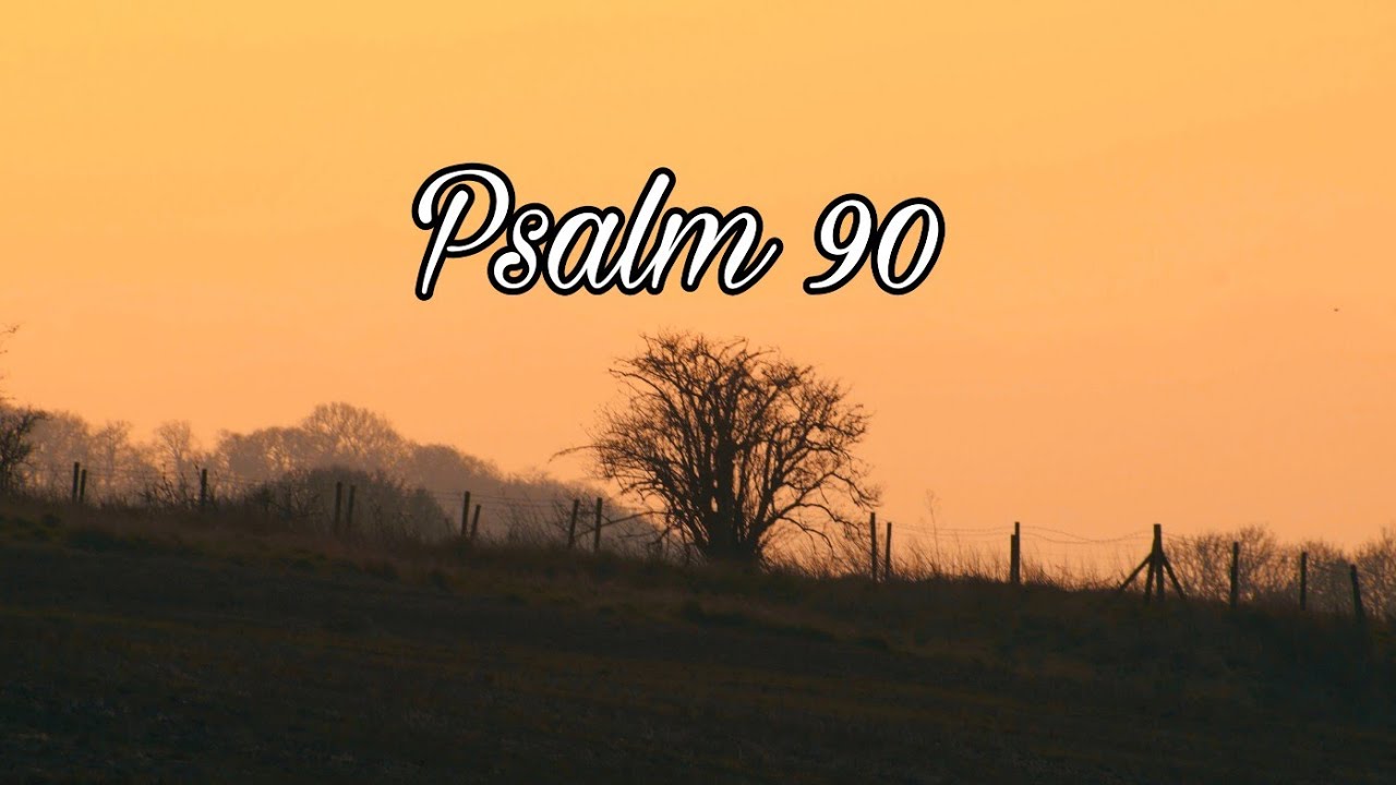 See the source image