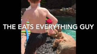 Pool Stereotypes