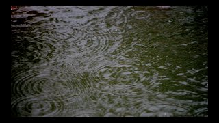 My Master The Sun - O Dia Em Que O Tempo Parou