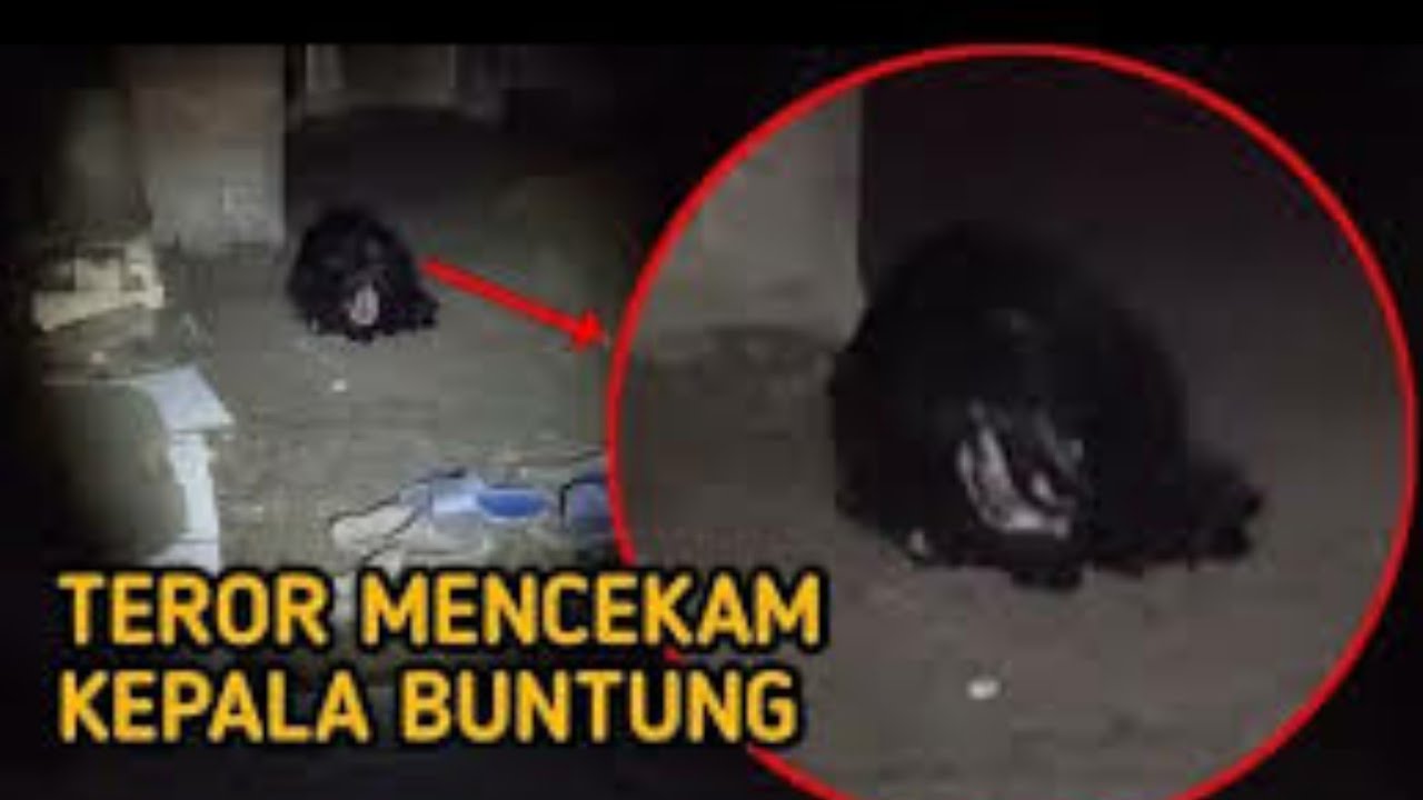 JELAS BANGET Penampakan Hantu Kepala Buntung Bikin Merinding 5 jelas-banget-penampakan-hantu-kepala-buntung-bikin-merinding-5