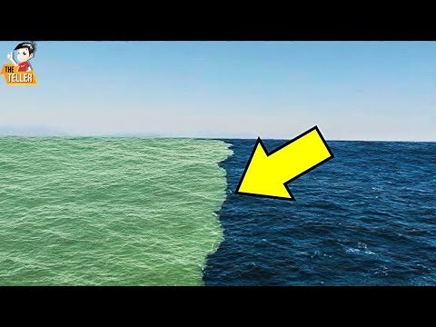 วีดีโอ: ทำไมคุณไม่ควรลืมตาใต้น้ำ?