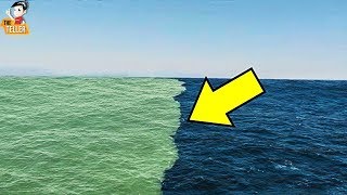 เหตุผลที่น้ำทะเลทั้งสองแห่ง ไม่ผสมกัน ?? (ปรากฏการณ์แปลก)