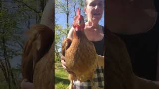 Nobody Asked For This: chicken dance party raw footage