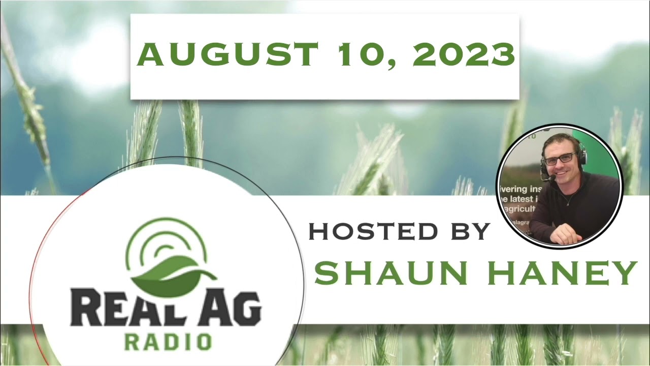 RealAg Radio: Disease risks, moisture conditions, and big-picture cost considerations, Aug 10, 2023
