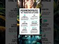 Perimenopause to Menopause The 5 Minute Morning Body Reset That Stops Anxiety Before It Starts