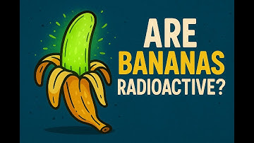 10 Fascinating Facts You Probably Didn’t Know!