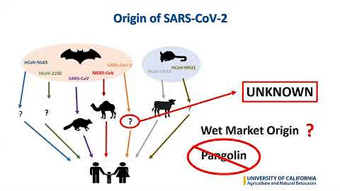 Food Systems Spotlight Series Webinar #1 - Food safety and COVID-19