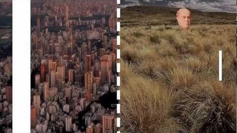 Santiago Delfino IUNA 2011