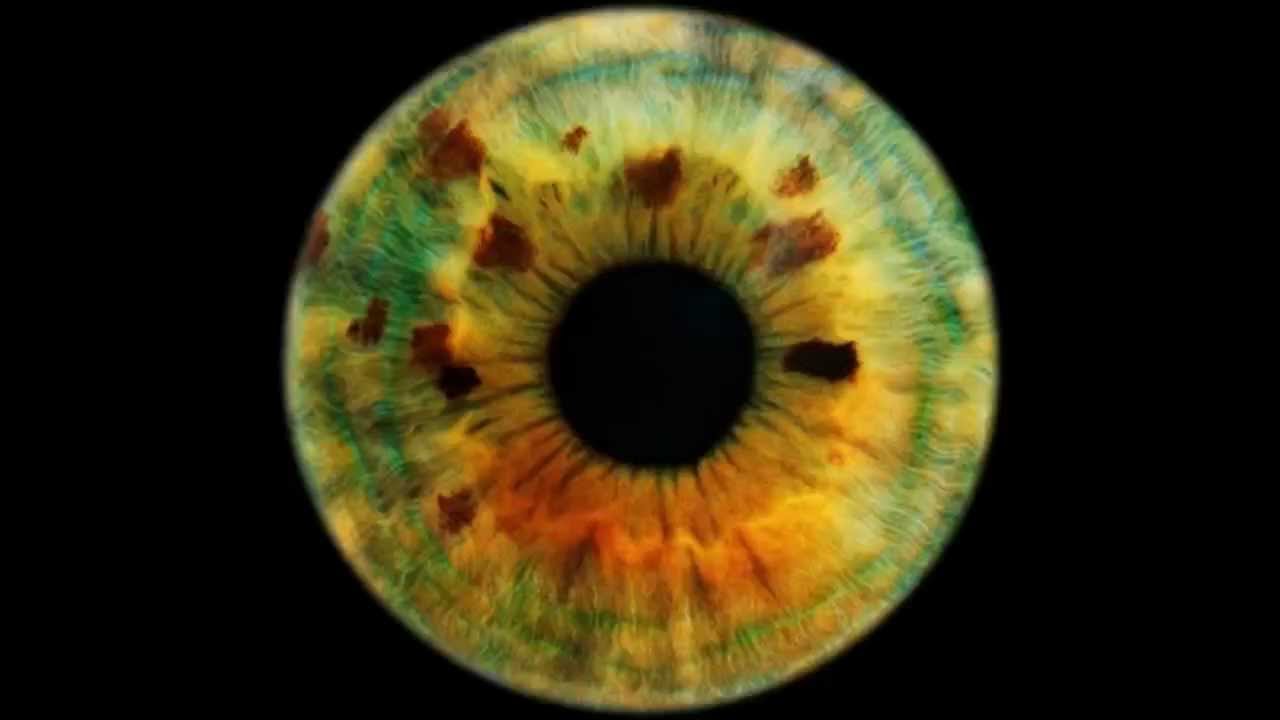 Iris радужка. радужная. там на орбите радужки глаз. там на орбите радужки глаз.
