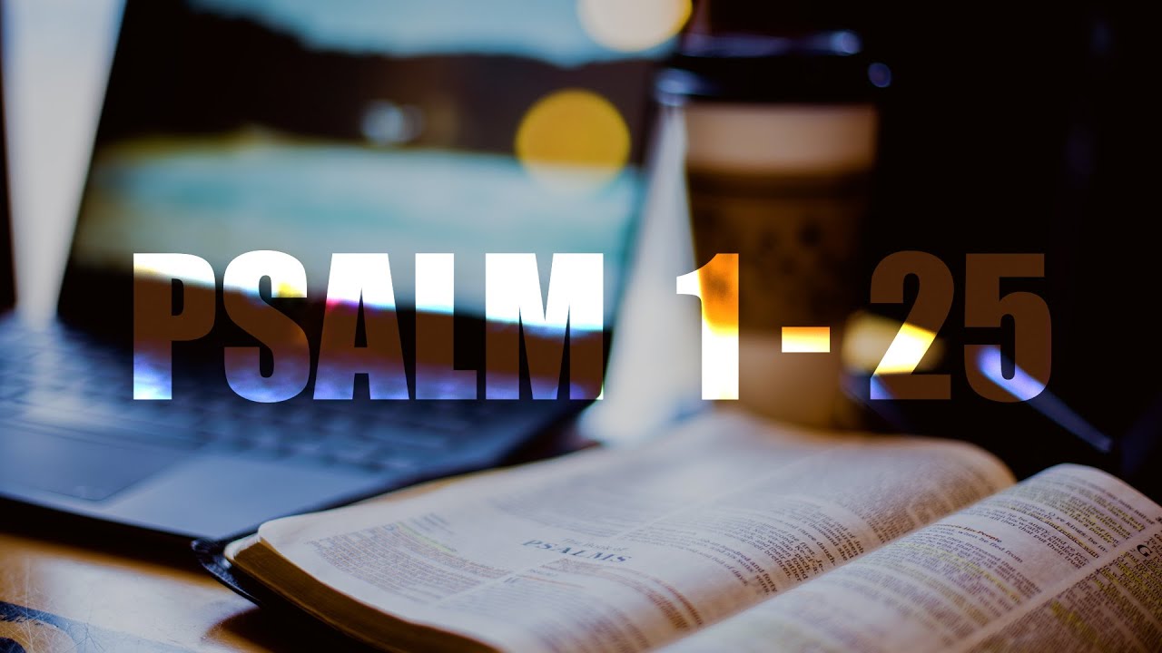 Psalm 1 - 25 | KJV | Audio Bible - YouTube