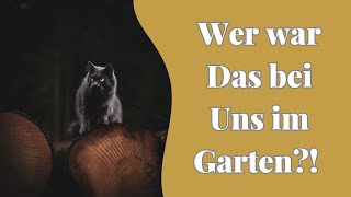 Bei uns im Garten war ein Fuchs! Oder doch ne fremde Katze? 🤨