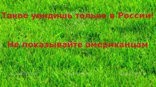 Такое увидишь только в России! Не показывайте американцам. Новости Украины,России Сегодня(, 2015-09-23T16:34:09.000Z)