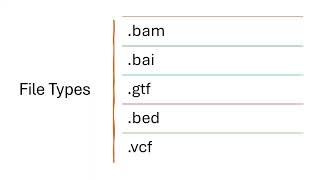 IGV Tutorial Part 2: File Types