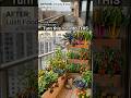 Grow a Stunning Edible balcony Instead!10x5 Balcony#gardeninghacks #verticalgardening #boringbalcony