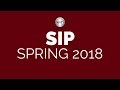 SIP Spring 2018 - Game Design & Game Art & Animation