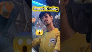 Smooth Sheding 😲😱 #shorts #youtubeshorts #chellenge #trending