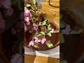 The BEST Vegetarian Rocky Road EVER Georgie Barnes Shorts mp3