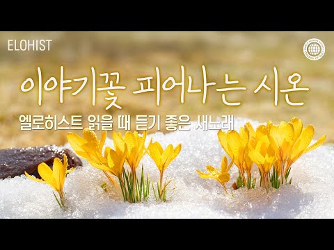 엘로히스트 읽을 때 듣기 좋은 새노래 #2│2025