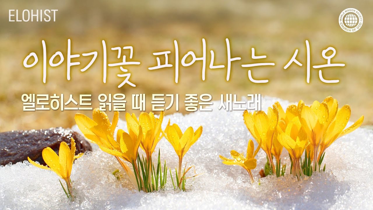 엘로히스트 읽을 때 듣기 좋은 새노래 #2│2025