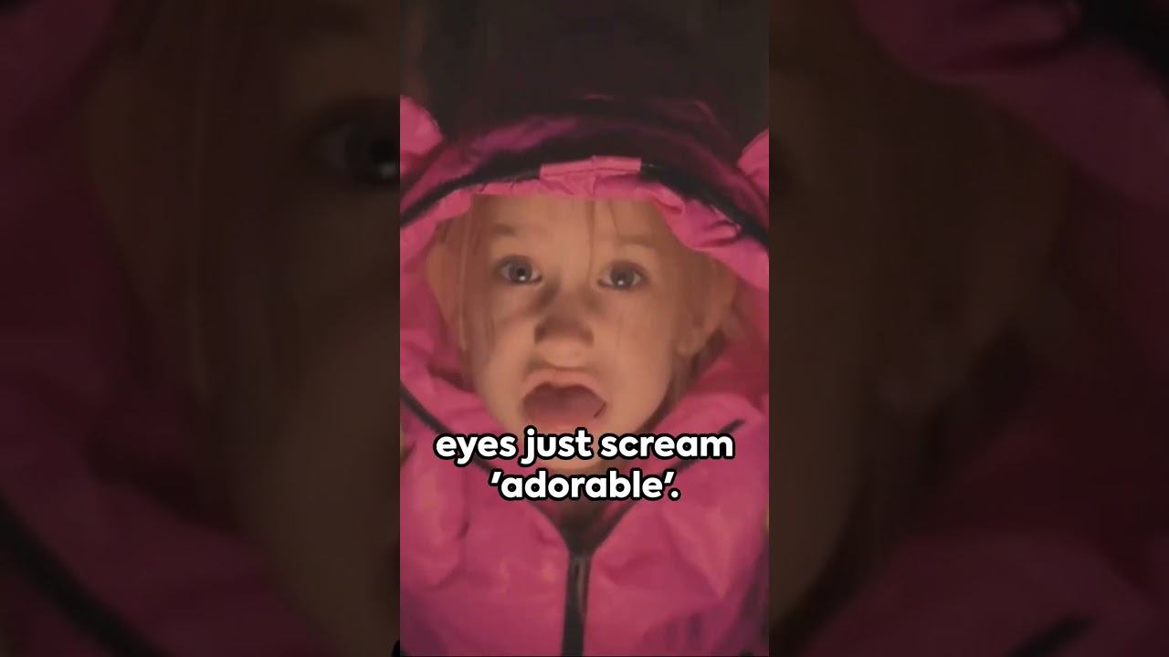 Kodkod: The Cutest Little Predator 