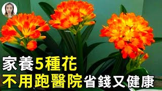 家裡養這5種花，讓全家人更長壽，太准太靈了！（推薦收藏）|花花世界