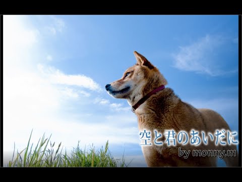 空と君のあいだに－ソロギター