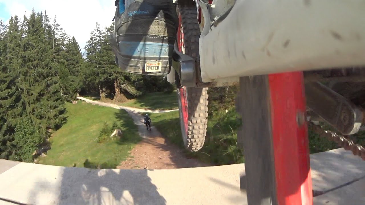 Blue Salamander Biker Trail Flumserberg